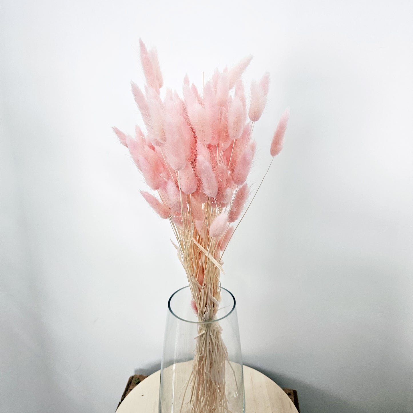Pink Lagurus Bunch