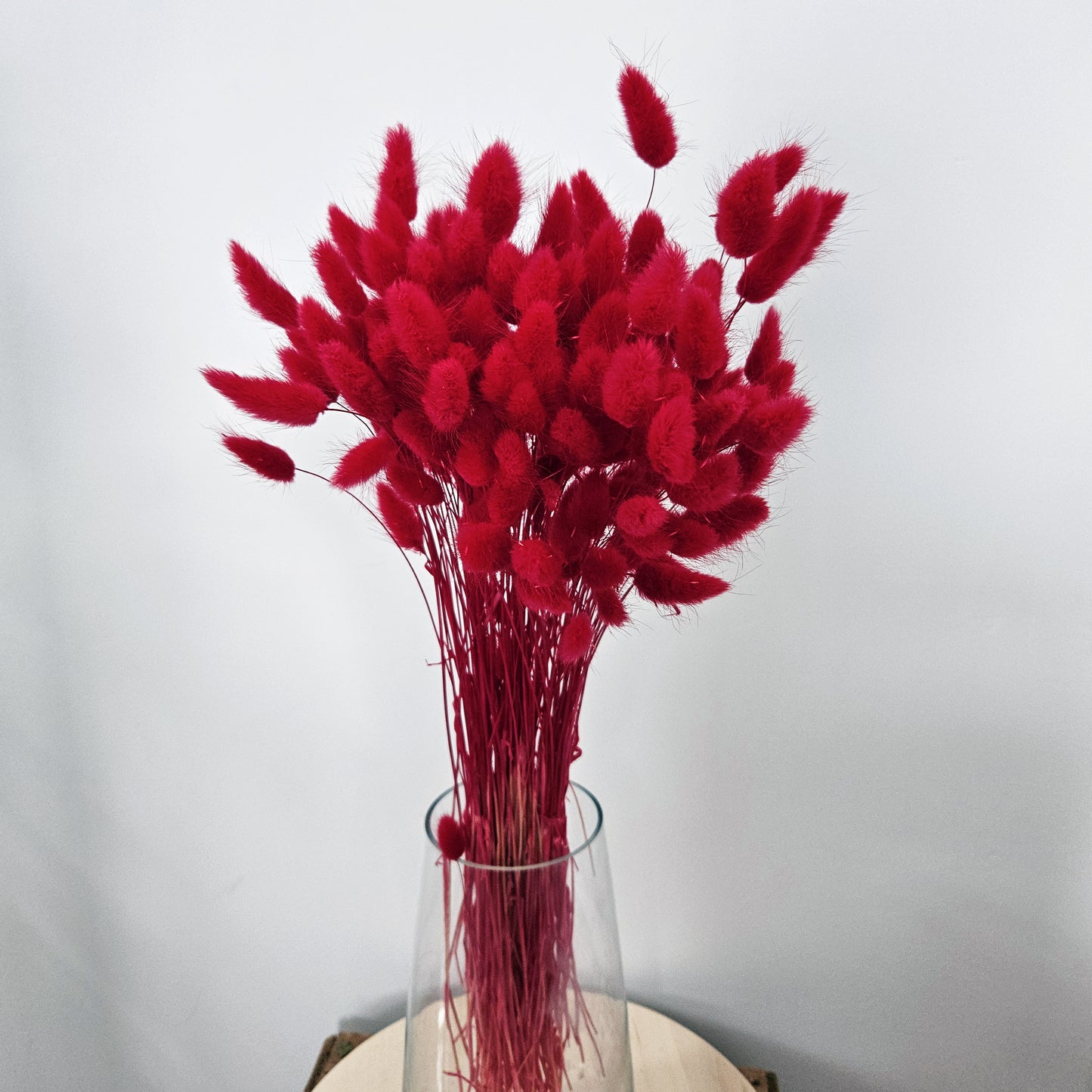 Cherry Lagurus Bunch