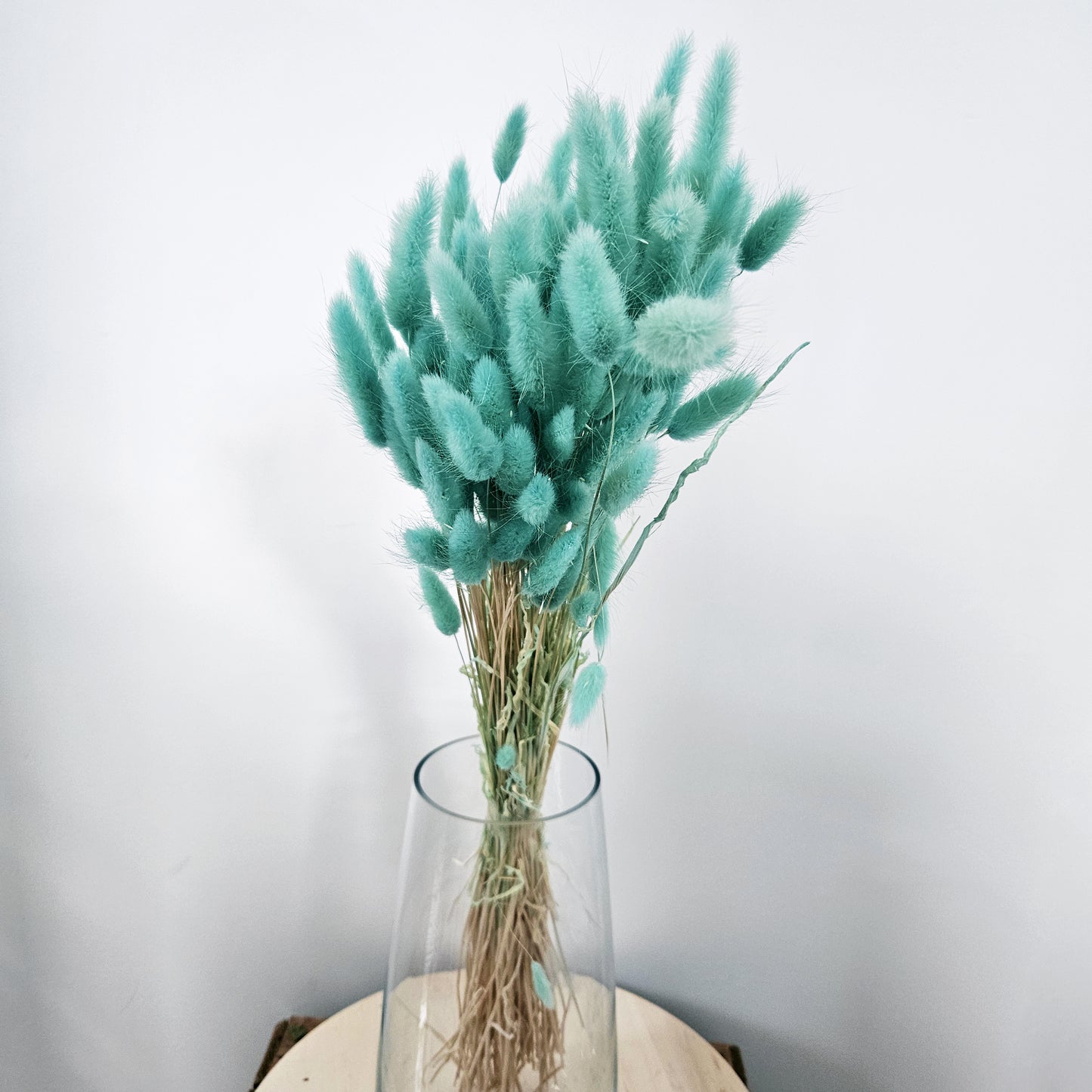 Aqua Lagurus Bunch