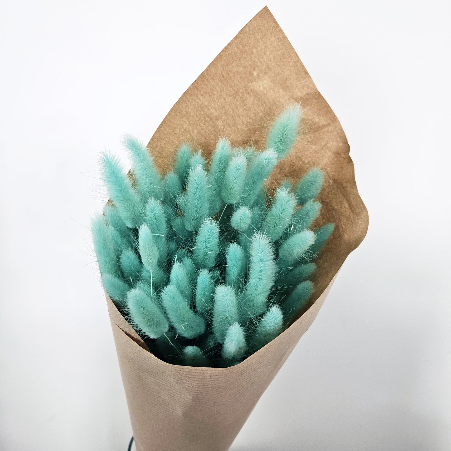Aqua Lagurus Bunch