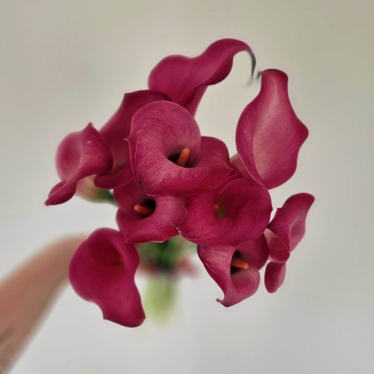 Calla Lily Bouquet