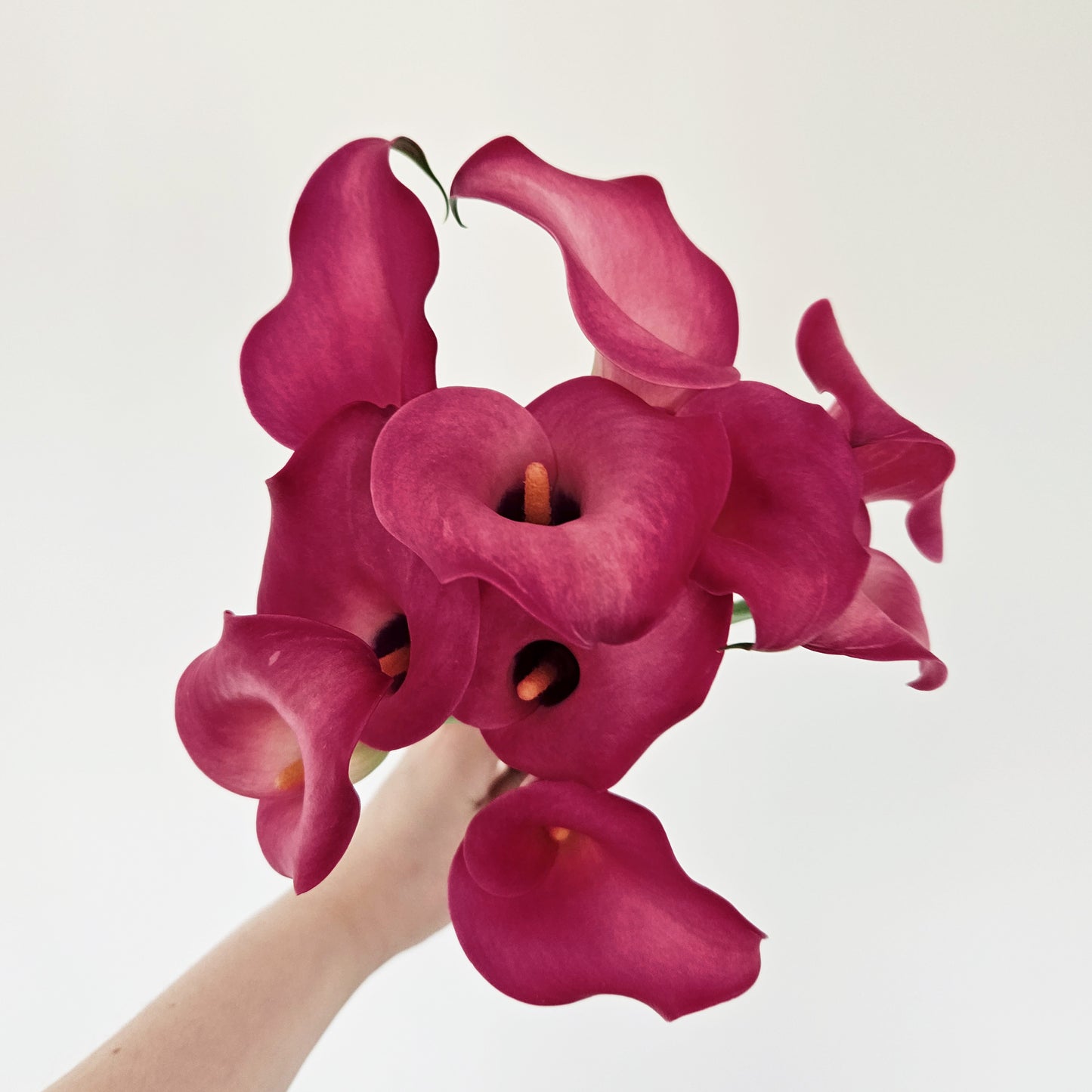 Calla Lily Bouquet