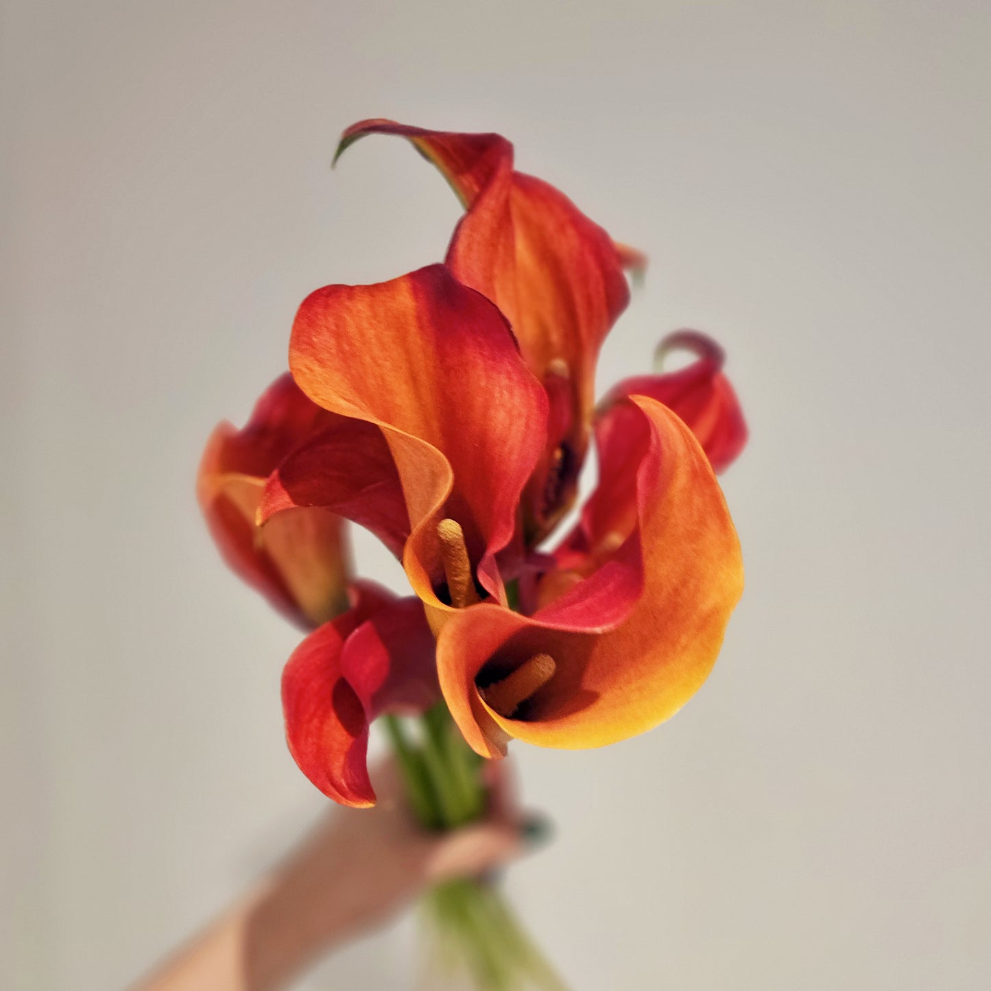 Calla Lily Bouquet