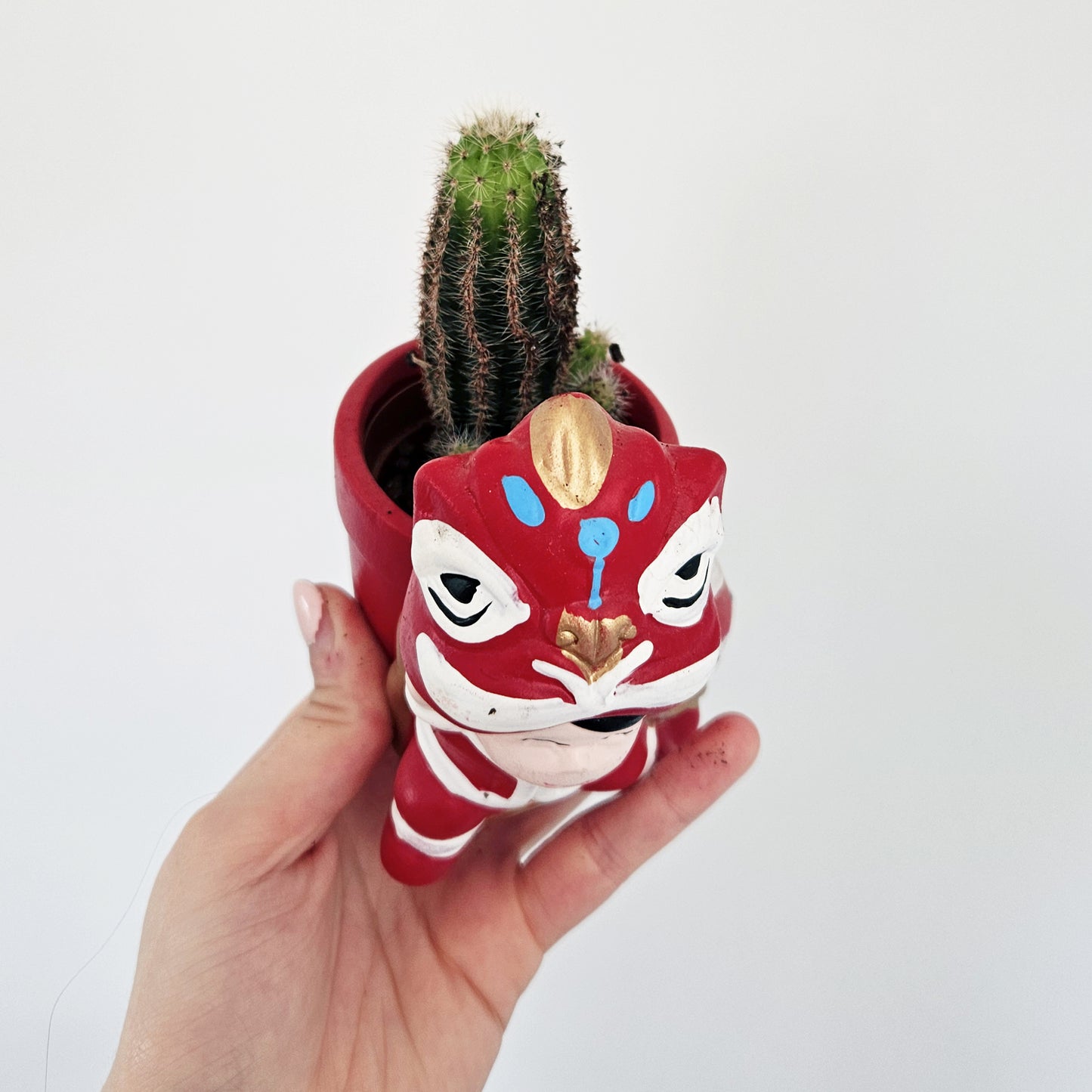 Lunar New Year Cactus (assorted)