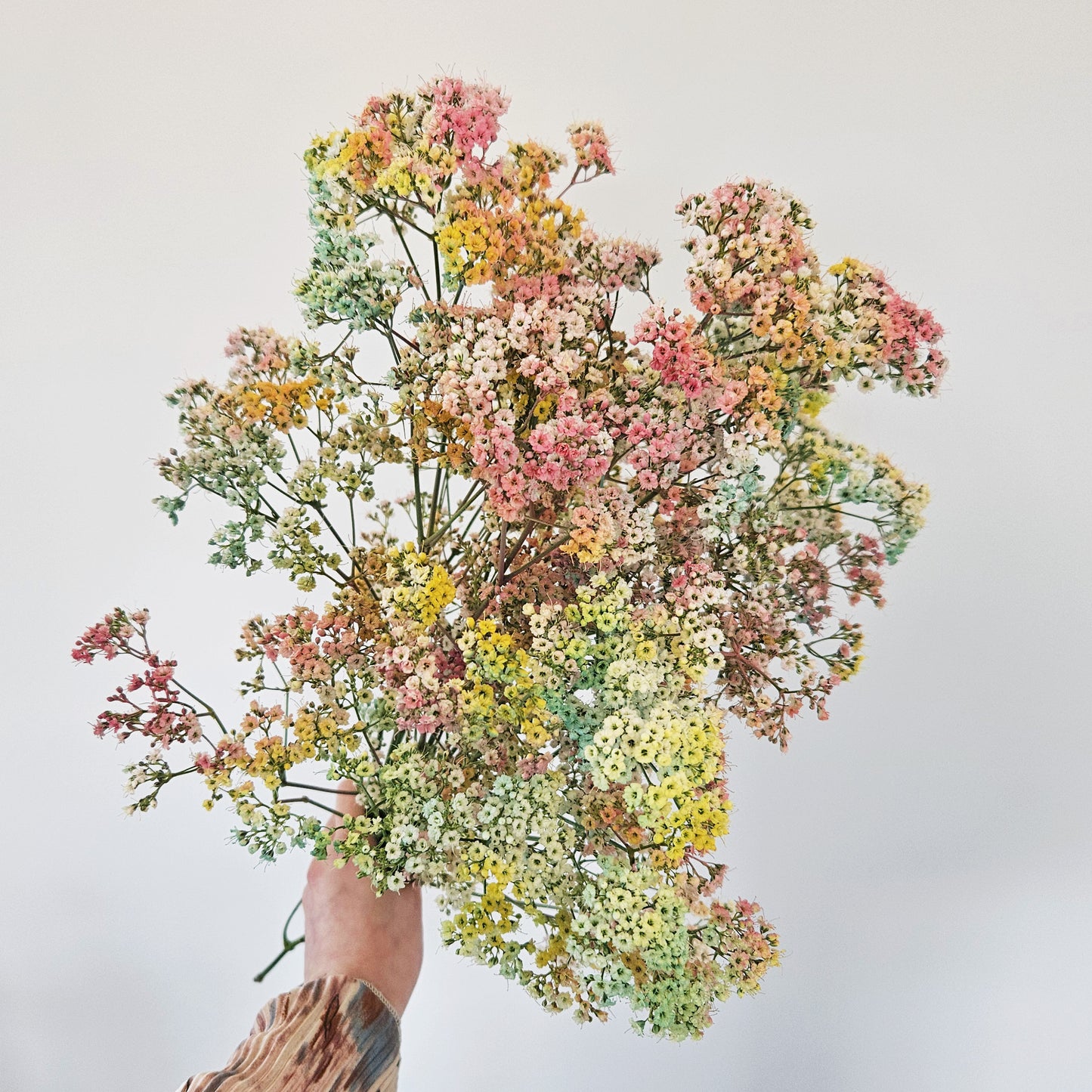 Candyfloss Gypsophila Bouquet