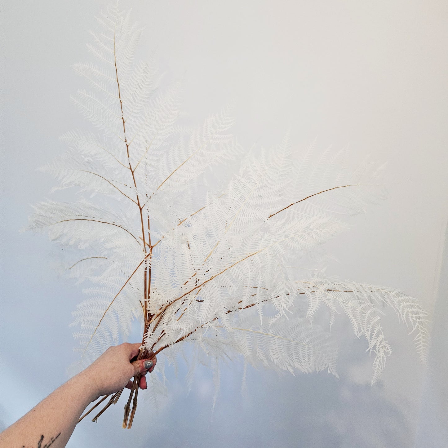 Bleached Preserved Palm Bunch