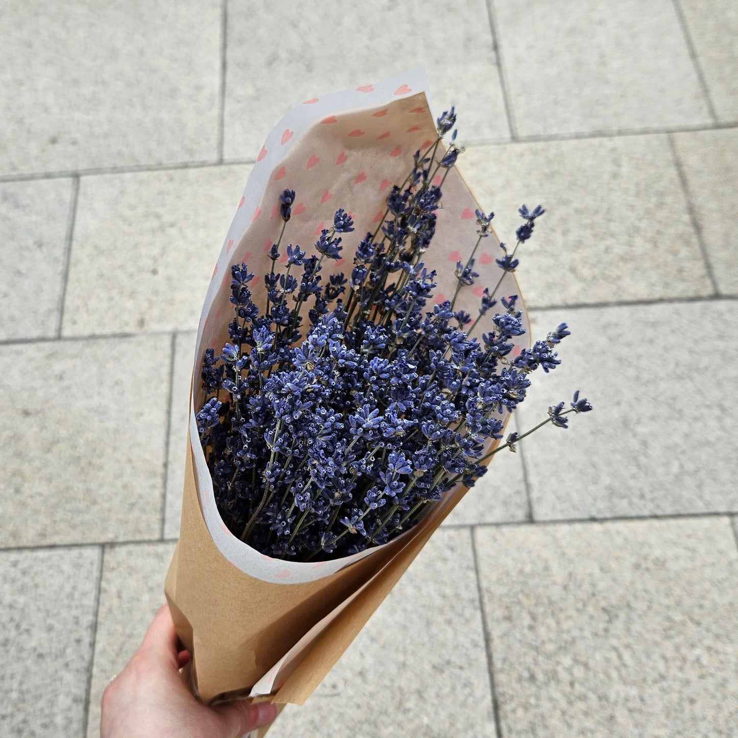 Lavender Bunch (wrapped)