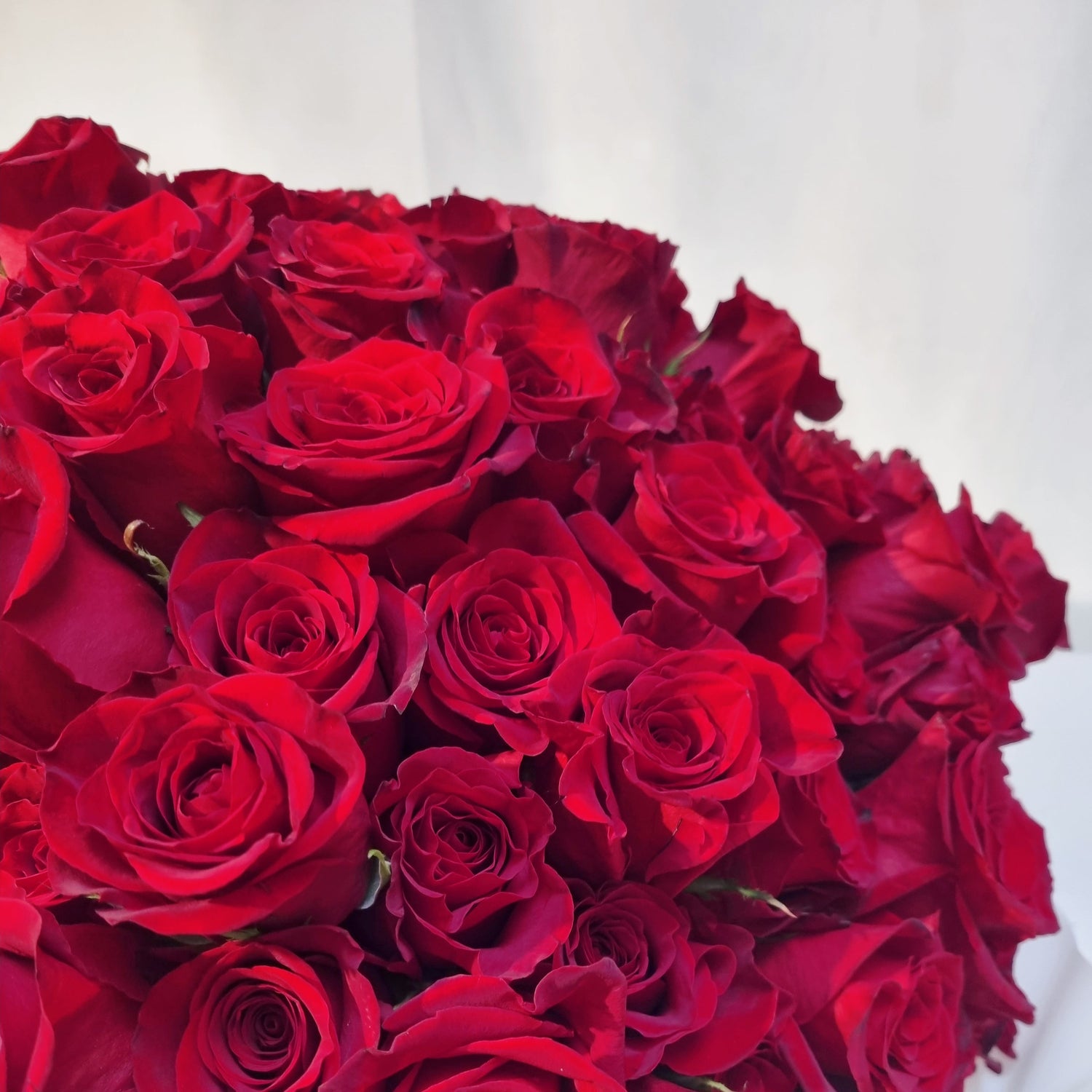 Valentine's Day 2026