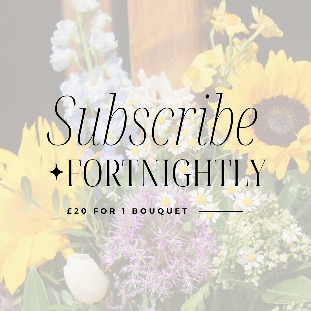 Flower Subscriptions