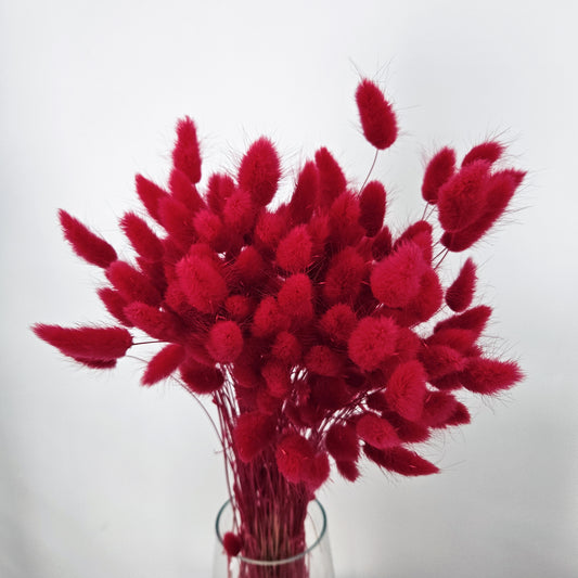 Cherry Lagurus Bunch
