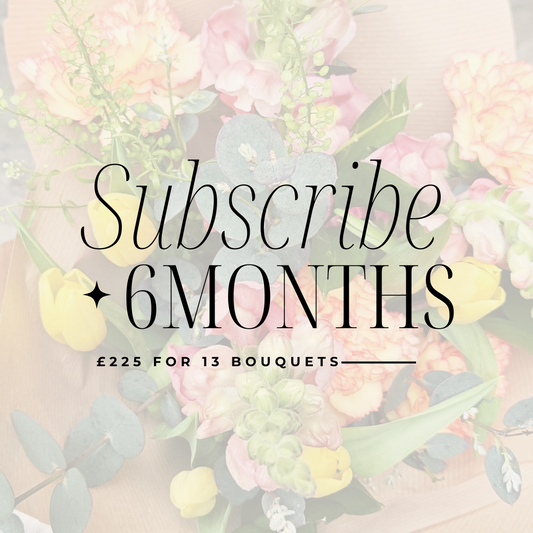 Flowers on Repeat - 6 Months