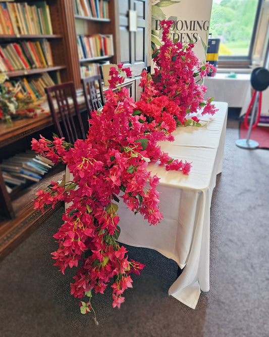 Bougainvillea Custom Climber