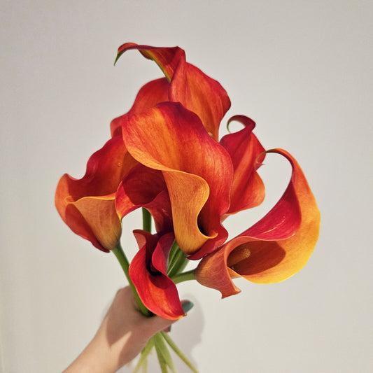 Calla Lily Bouquet