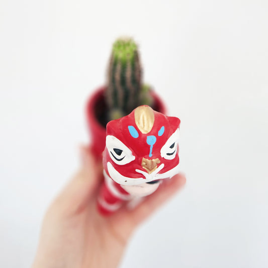 Lunar New Year Cactus (assorted)
