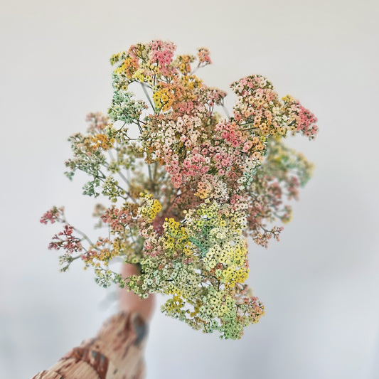 Candyfloss Gypsophila Bouquet