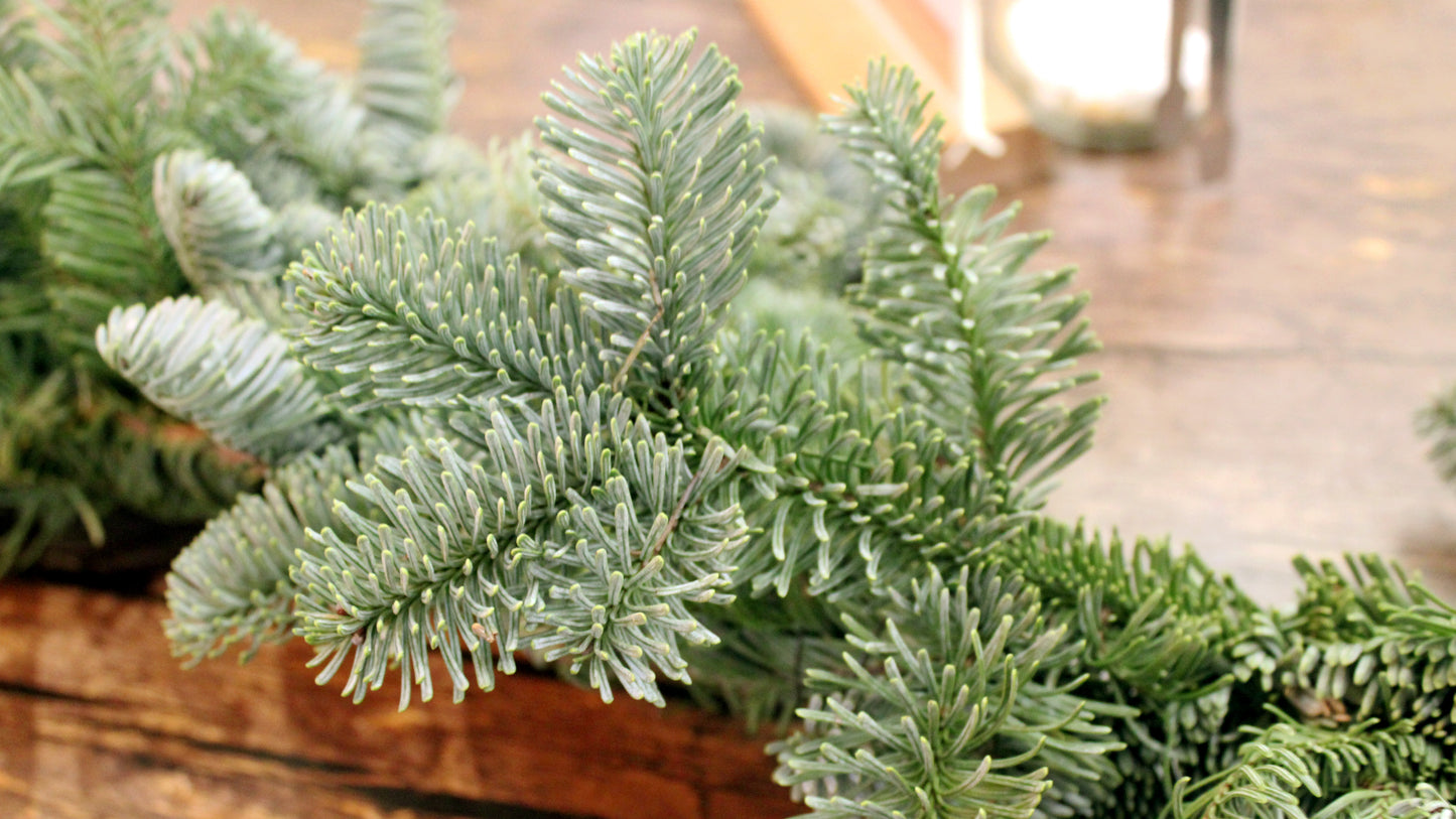 Winter Garland (by foot)